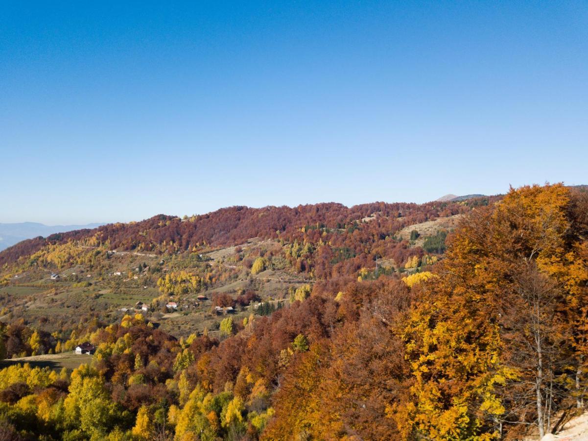 Sunset View Ski & Spa Apartments Kopaonik Exterior photo